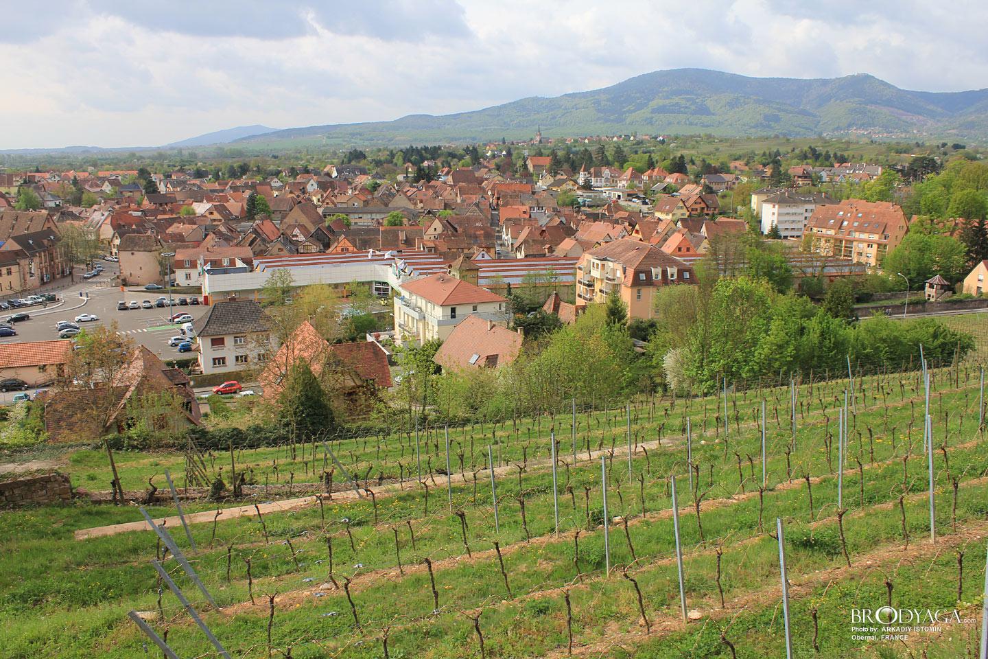 Obernai